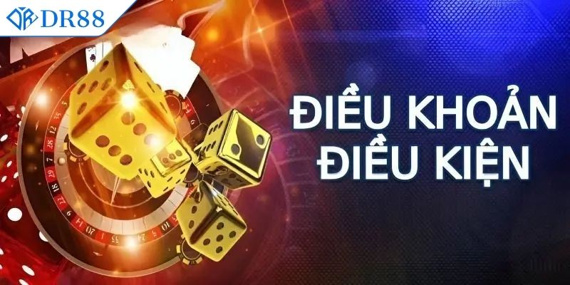 Thông tin tổng quát về điều khoản điều kiện tại DR88